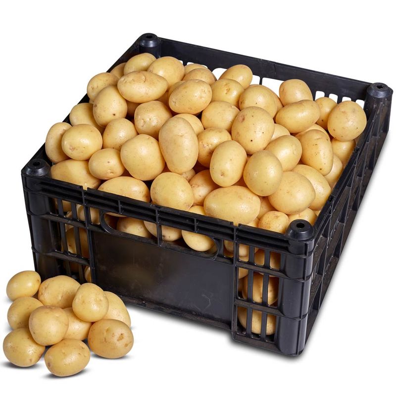 BATATA-PIRULITO-KG