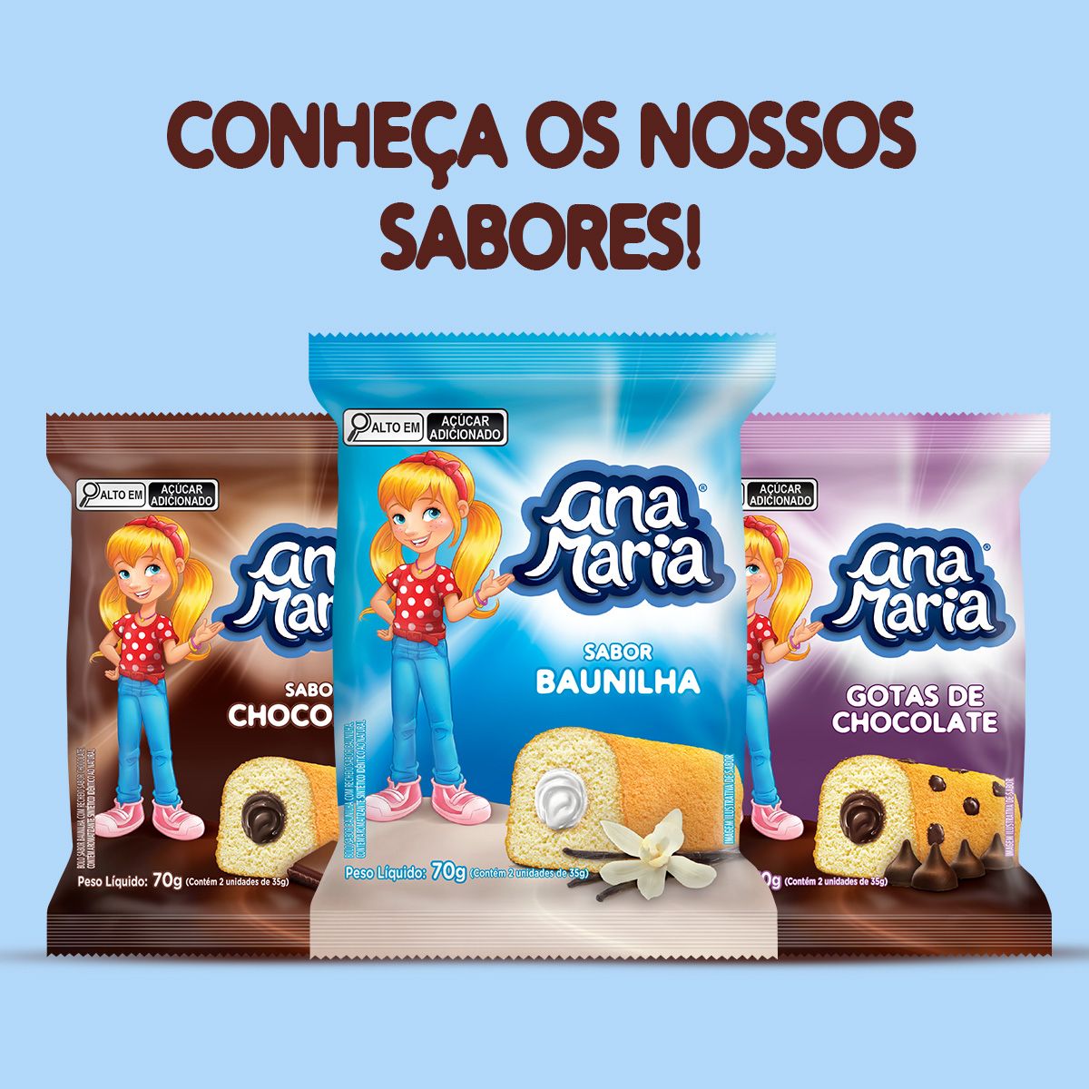 Bolinho Ana Maria Cenoura/Chocolate 35g - Pullman