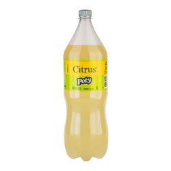Refrigerante Poty Citrus 2L