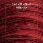 TINT-BIOCOLOR-MINI-KIT-666-VERM-INT