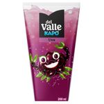 BEB-C-SUCO-D.VALLE-KAPO-200ML-UVA