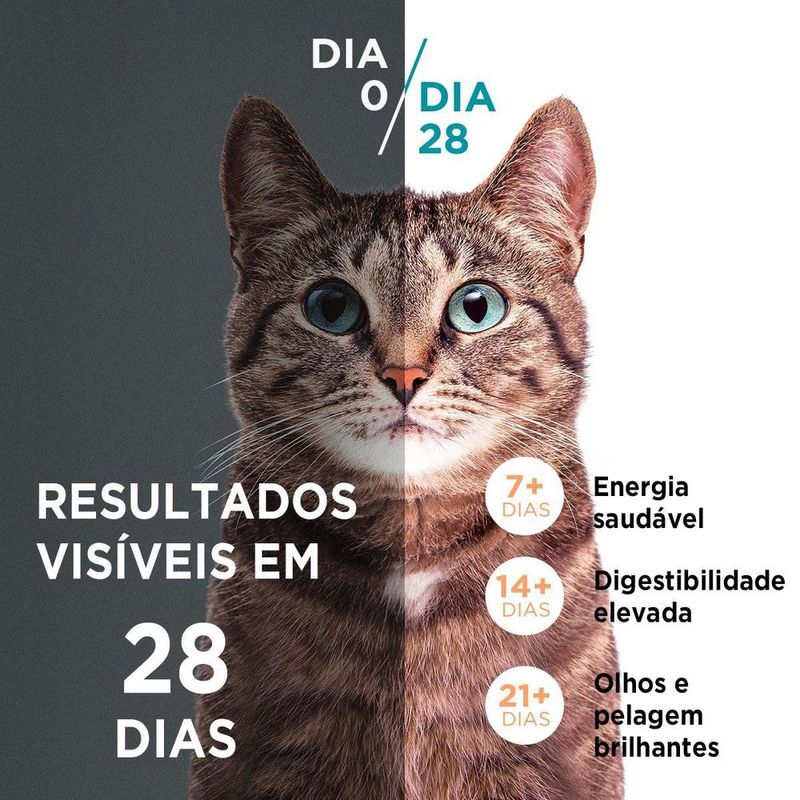ALIM-GAT-ONE-500G-AD-FGO-SALM-CASTRADOS