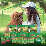 ALIM-CAO-DOG-CHOW-3KG-FILHOTES-M-G-CAR-FGO-ARR
