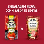 MOLHO-TOM-HEINZ-300G-SC-TRAD