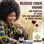 COOKIE-ORG-MAE-TERRA-80G-CHOCO-MORANGO