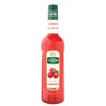 XAROPE-TEISSEIRE-700ML-CRAMBERRY
