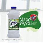 DESINF-YPE-2L-BAK-EUCALIP