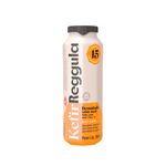L.FERM-KEFIR-KEIFF-100G-REGGULA-DESNAT-C-MEL