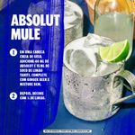 VODKA-ABSOLUT-750ML