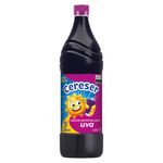 XAROPE-CERESER-1L-UVA