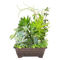 Vaso Plantas Ornamentais Jardineira 1,1L