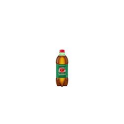 Refrigerante Guaraná Antarctica Garrafa 600ML