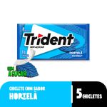 GOMA-MASC-TRIDENT-UN-HORT
