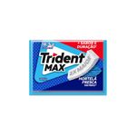 GOMA-MASC-TRIDENT-MAX-165G-HORTELA