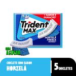 GOMA-MASC-TRIDENT-MAX-165G-HORTELA