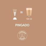 CAPSULA-D.GUSTO-C-10-PINGADO