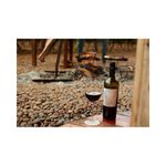 VH-ARG-DANTE-ROBINO-750ML-CABERNET-SAUVIG