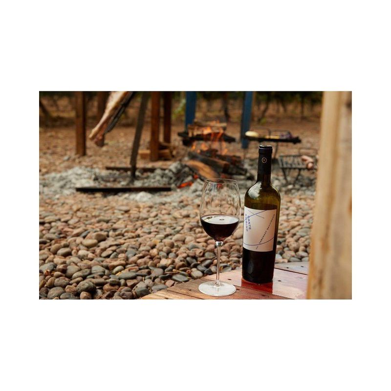 VH-ARG-DANTE-ROBINO-750ML-CABERNET-SAUVIG
