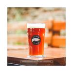 CERVEJA-GOOSE-ISLAND-IPA-355ML-L.N