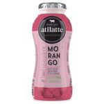 IOG-LIQ-ATILATTE-180ML-INTEG-MORAN