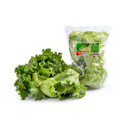 Salada Alface Horticultura Felicio 220g