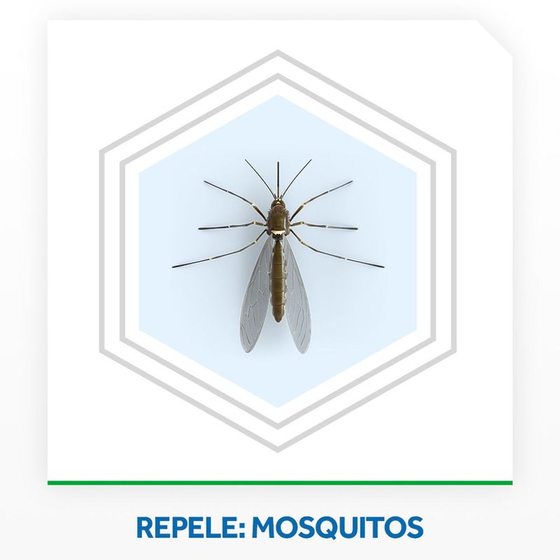 INSET-ELET-RAID-45NOIT-L2-50--DESC-SEGUNDO-REF