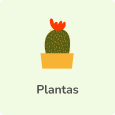 Flores E Plantas